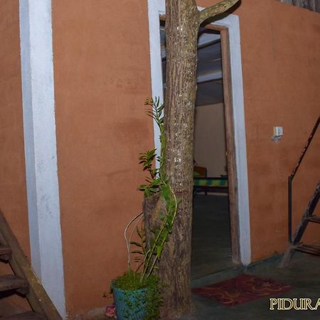 Pidurangala Hostel Σιγκιρίγια Εξωτερικό φωτογραφία