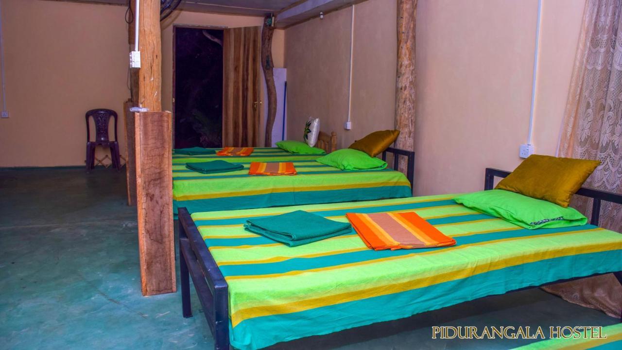 Pidurangala Hostel Σιγκιρίγια Εξωτερικό φωτογραφία
