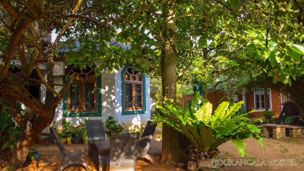 Pidurangala Hostel Σιγκιρίγια Εξωτερικό φωτογραφία