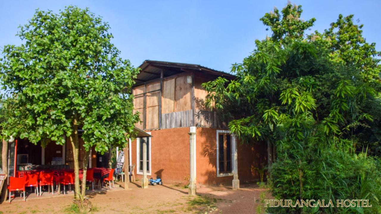 Pidurangala Hostel Σιγκιρίγια Εξωτερικό φωτογραφία