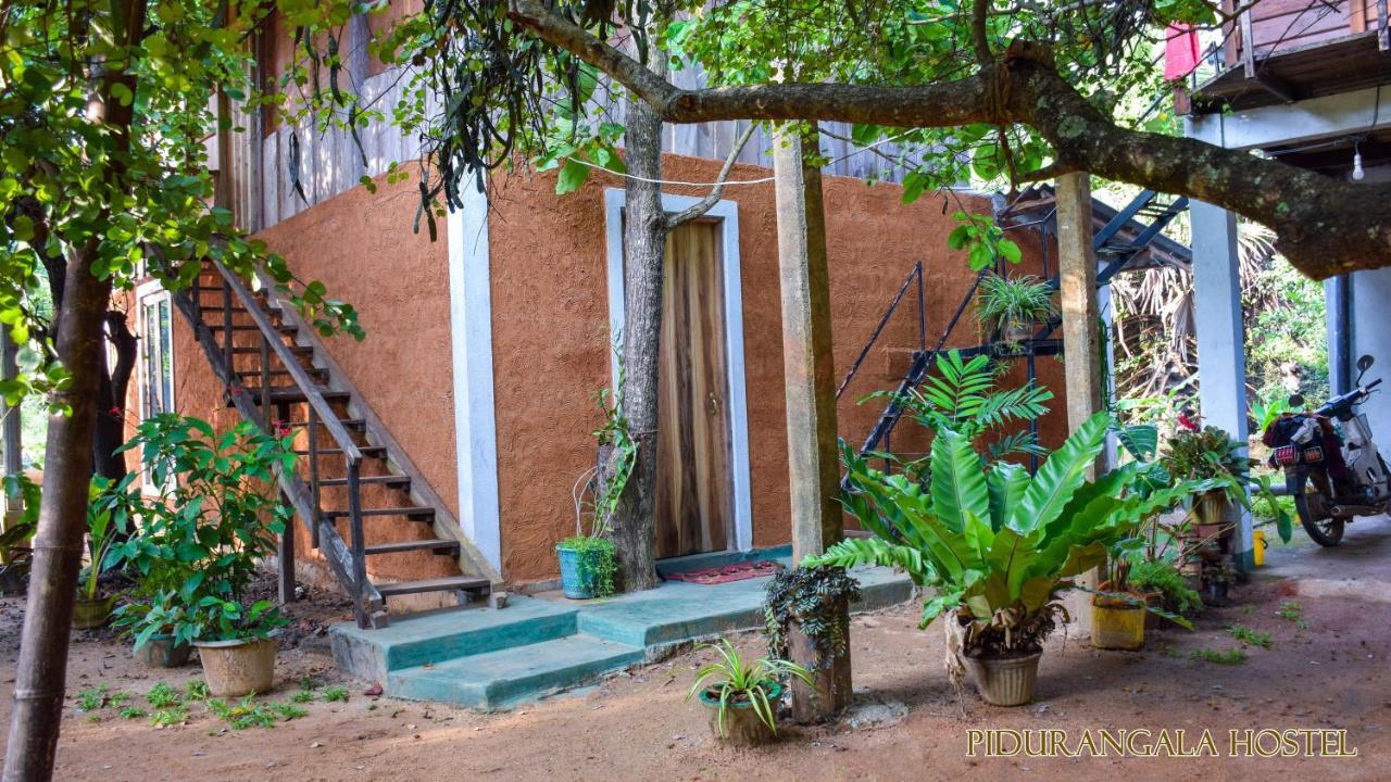 Pidurangala Hostel Σιγκιρίγια Εξωτερικό φωτογραφία