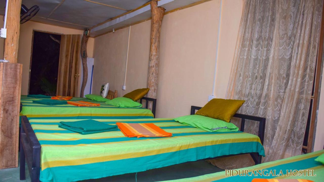 Pidurangala Hostel Σιγκιρίγια Εξωτερικό φωτογραφία