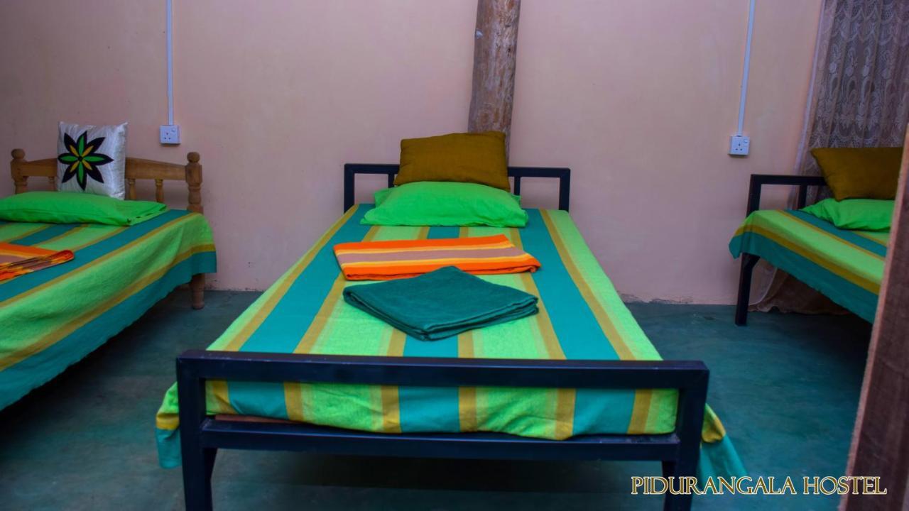 Pidurangala Hostel Σιγκιρίγια Εξωτερικό φωτογραφία